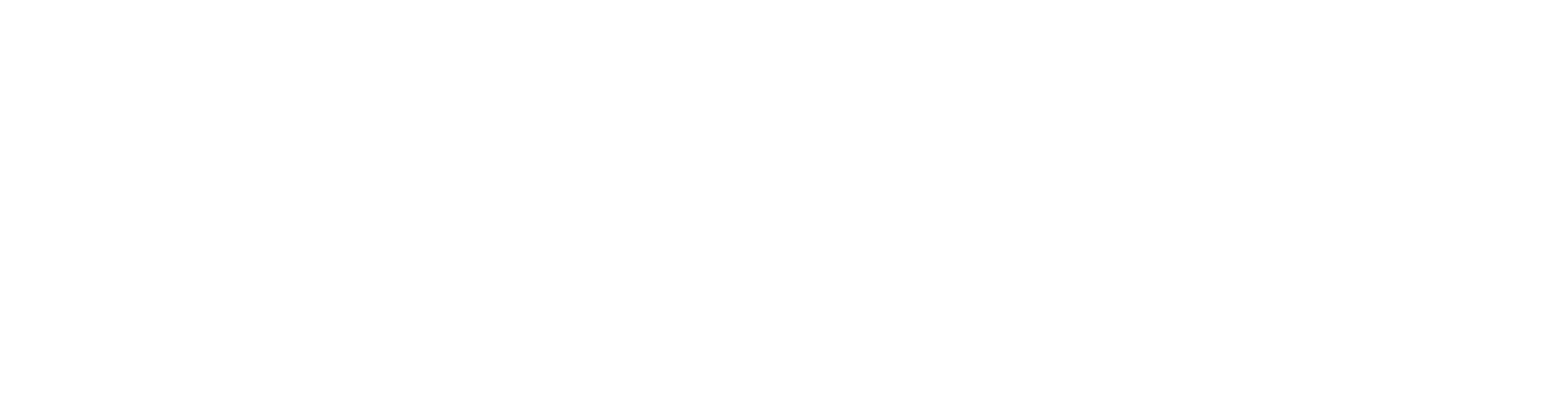 LIAN LI